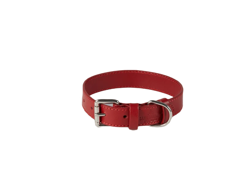 Baker & Bray Sustainable Leather Dog Collar | Rose