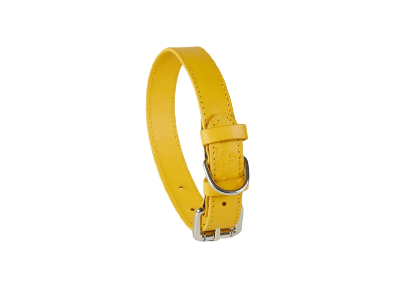 Barker & Bray Sustainable Leather Dog Collar | Lemon