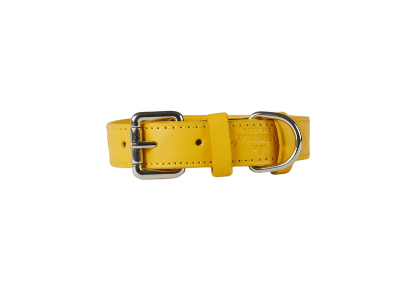 Barker & Bray Sustainable Leather Dog Collar | Lemon