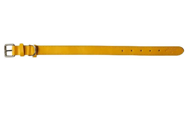 Barker & Bray Sustainable Leather Dog Collar | Lemon