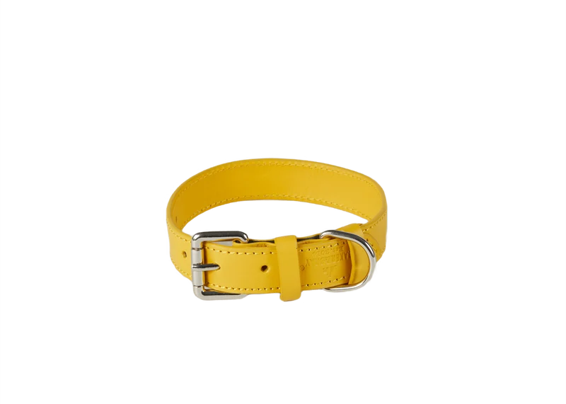 Barker & Bray Sustainable Leather Dog Collar | Lemon