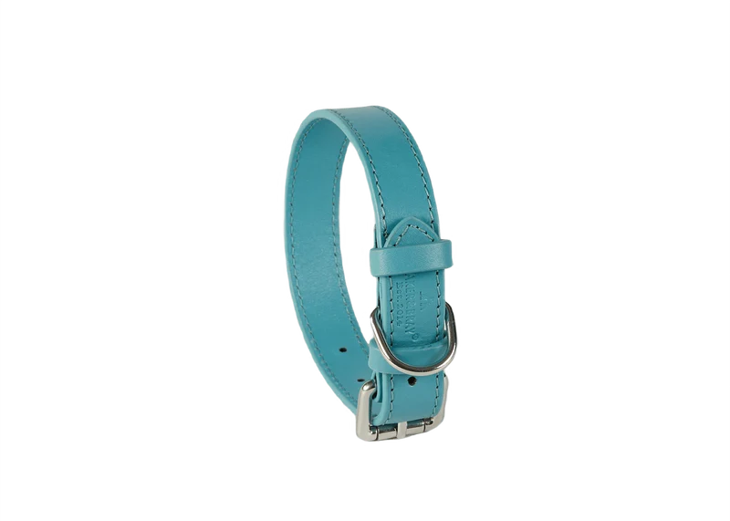 Baker & Bray Sustainable Leather Dog Collar | Lagoon