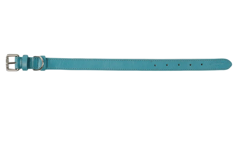 Baker & Bray Sustainable Leather Dog Collar | Lagoon