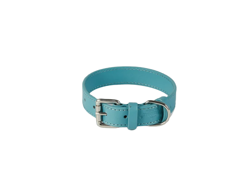 Baker & Bray Sustainable Leather Dog Collar | Lagoon