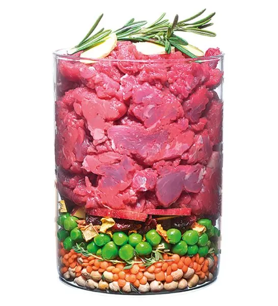 Carnilove True Fresh Beef for Adult Dogs Dry Food 1.4KG