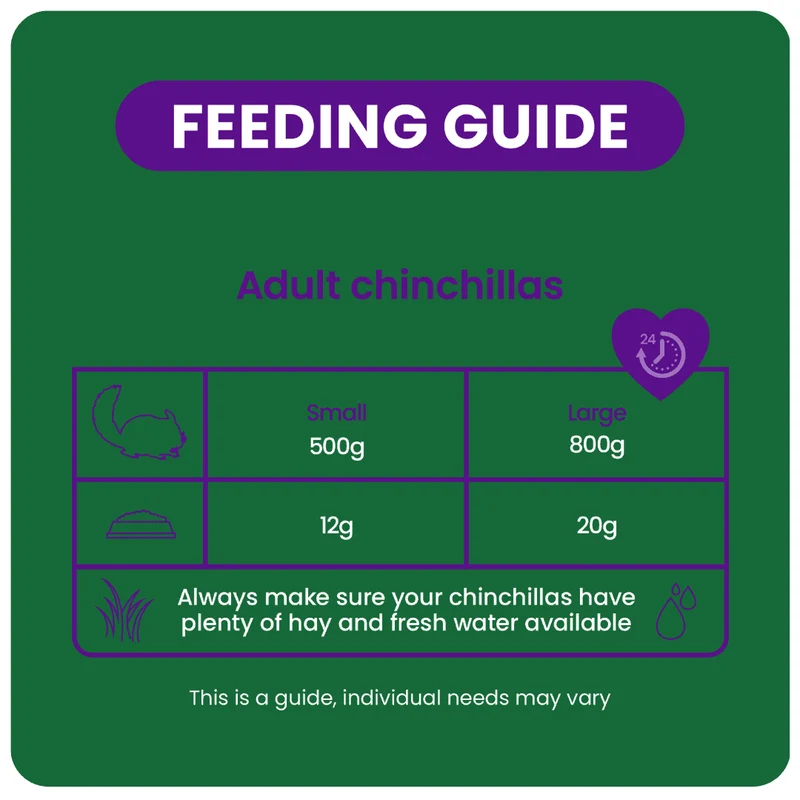Burgess Excel Nuggets for Adult Chinchilla With Mint 1.5KG