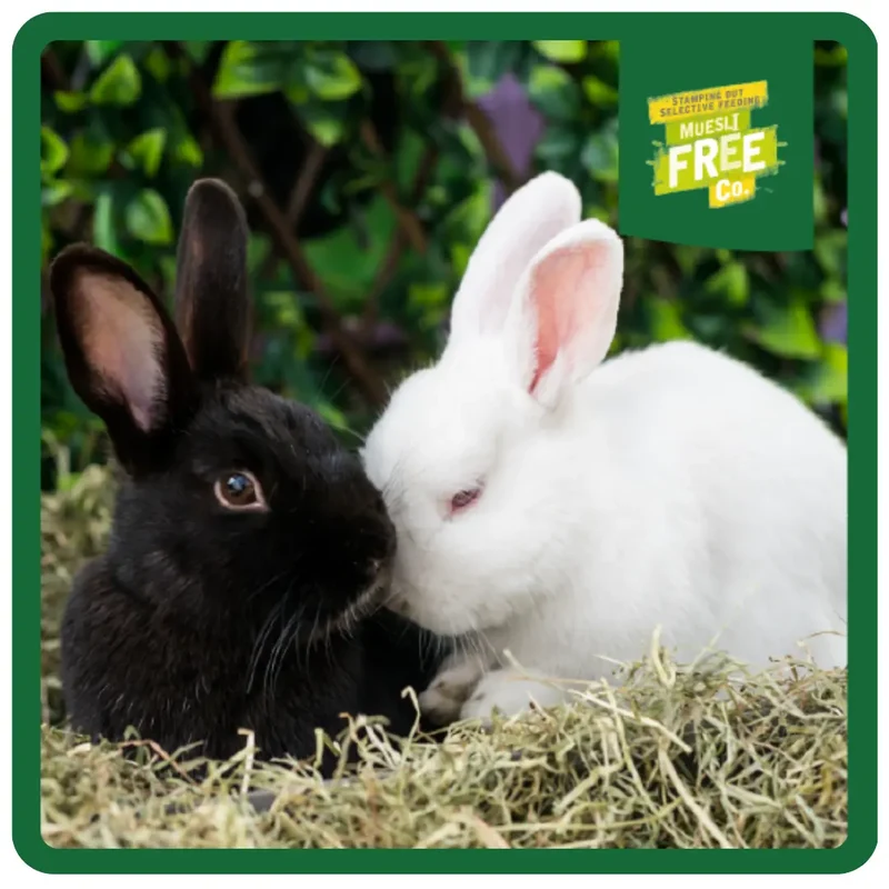 Burgess Excel Nuggets With Oregano For Adult Rabbit 1.5KG