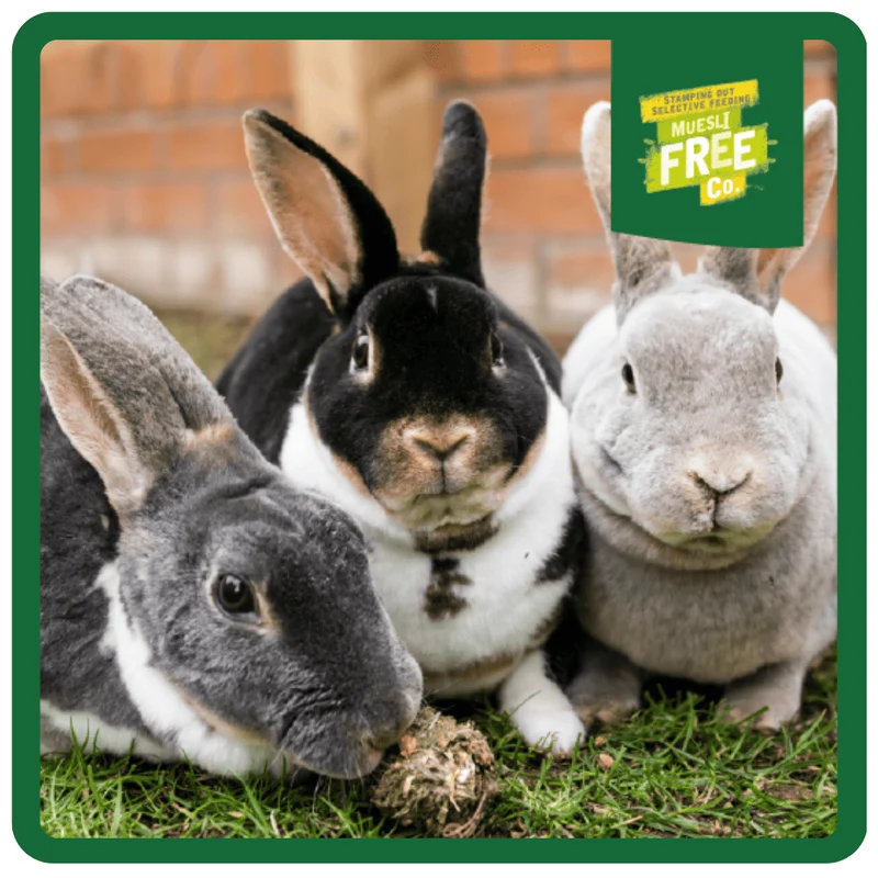 Burgess Excel Nuggets With Cranberry & Thyme For Mature Rabbit 1.5KG