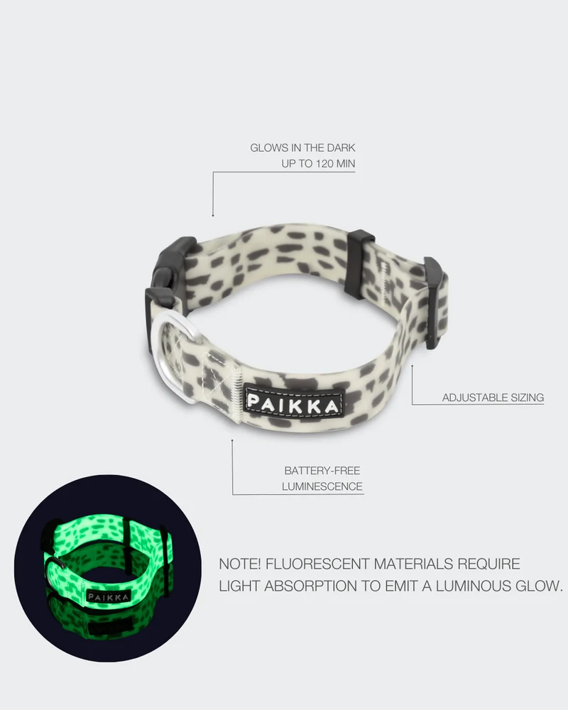 PAIKKA Glow Collar 2.0 for Dogs - 2.5X44-65CM
