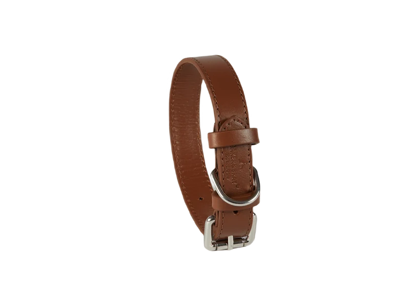 Baker & Bray Sustainable Leather Dog Collar | Brown