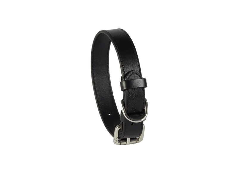 Baker & Bray Sustainable Leather Dog Collar | Black