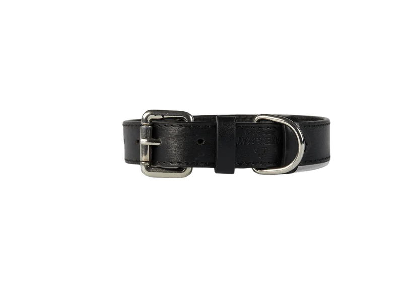 Baker & Bray Sustainable Leather Dog Collar | Black