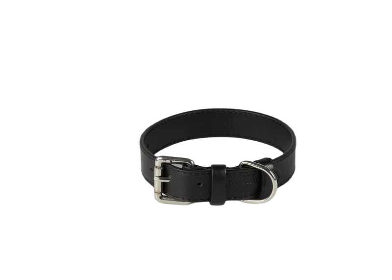 Baker & Bray Sustainable Leather Dog Collar | Black