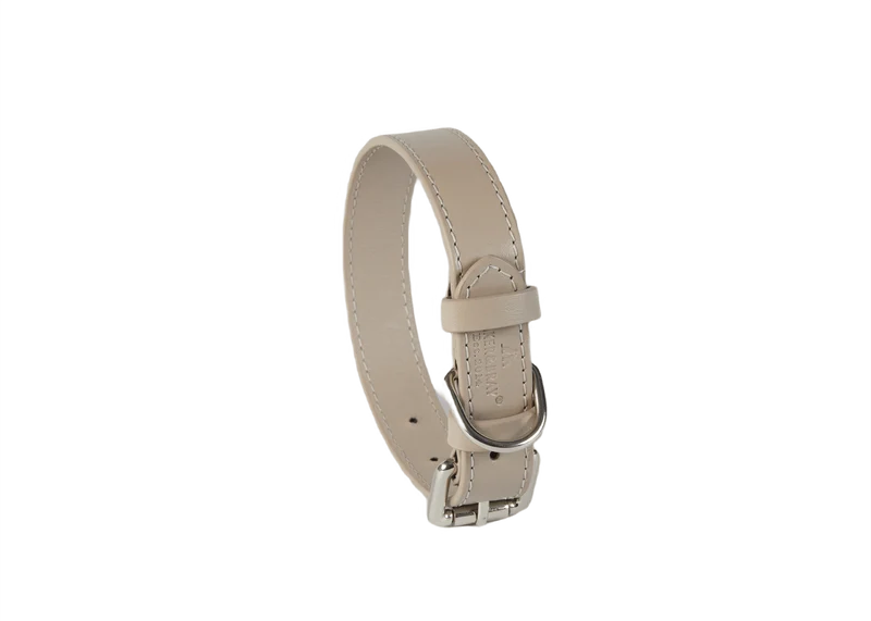Baker & Bray Sustainable Leather Dog Collar | Ash