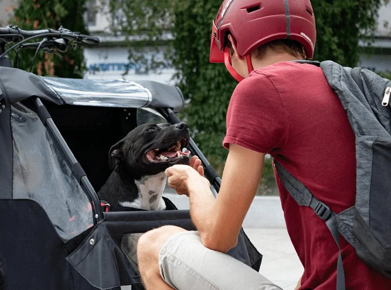 AddBike Carry'Dog Kit | Front Dog Bike Trailer