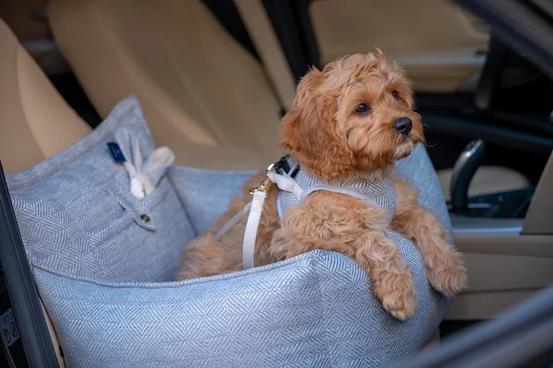 Oh Charlie Dog Car Seat Bed Florence