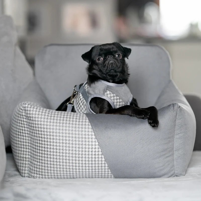 Oh Charlie Dog Car Seat Modern Finessa