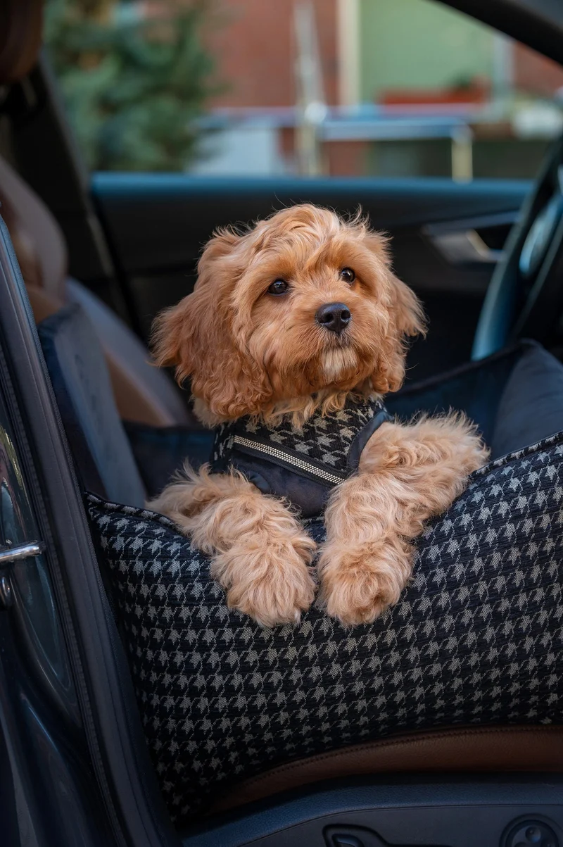 Oh Charlie Dog Car Seat Bed Prestige