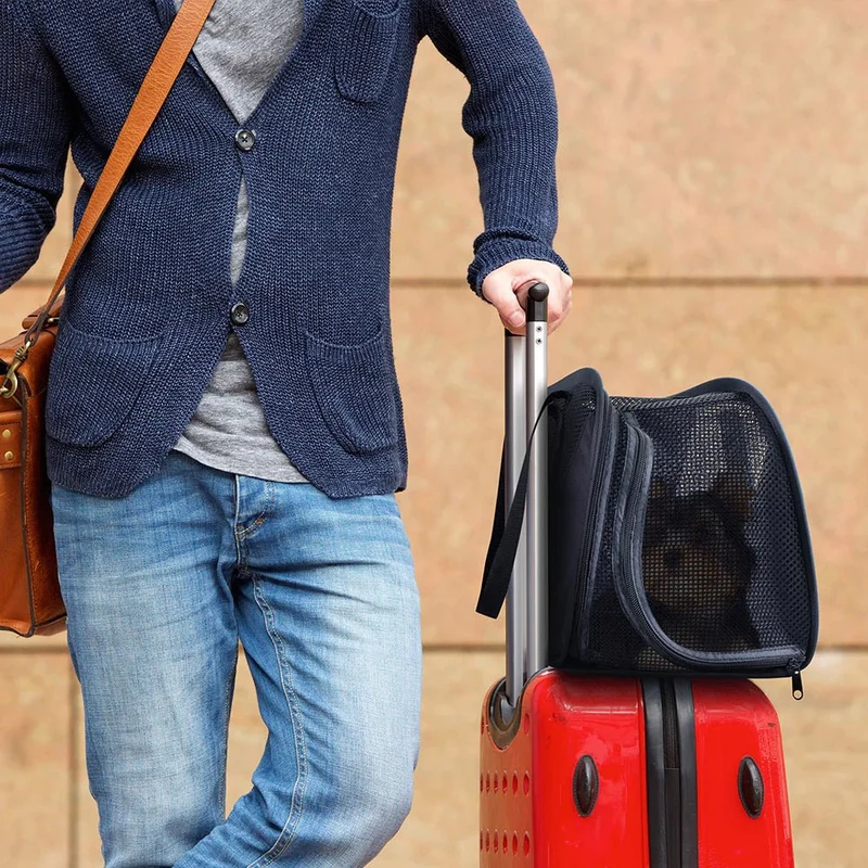 Ibiyaya Flying Pal Foldable Pet Travel Carrier | Airline-Approved