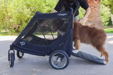 Petique Apollo Elite Pet Stroller & Trailer | Integrated Ramp