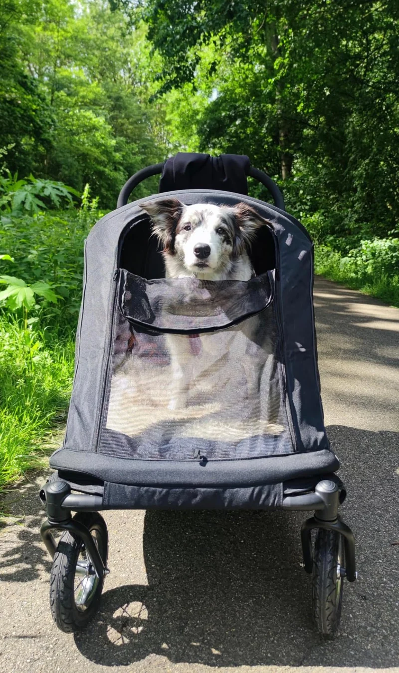 Petique Apollo Elite Pet Stroller & Trailer | Integrated Ramp