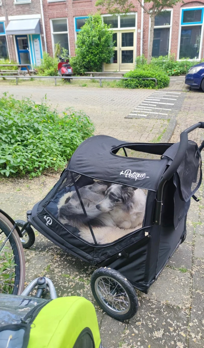 Petique Apollo Elite Pet Stroller & Trailer | Integrated Ramp