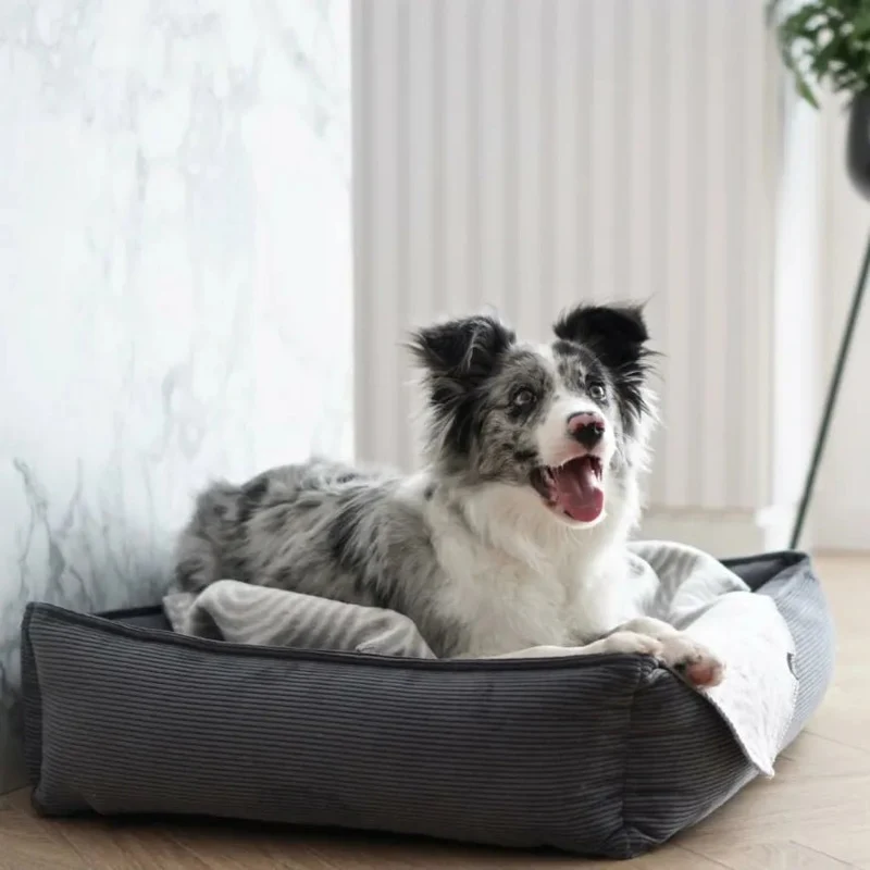 Labbvenn STRIPPO Dog Bed