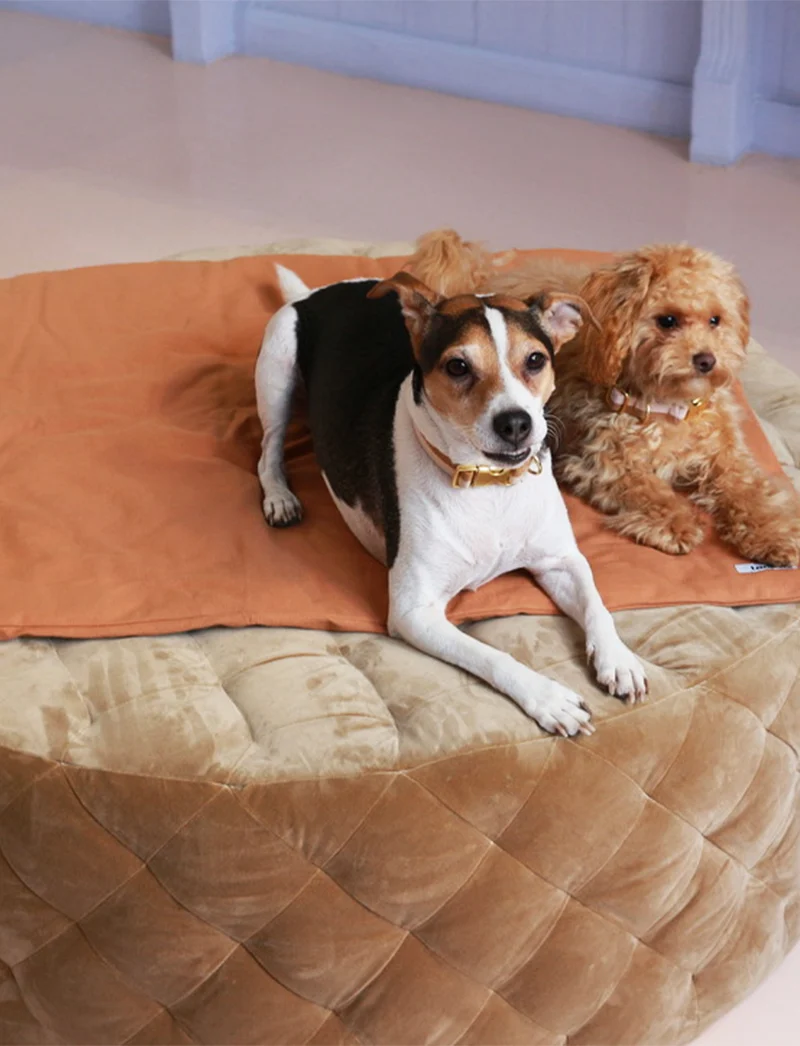 Tadazhi Dog Duvet and Matching Bag