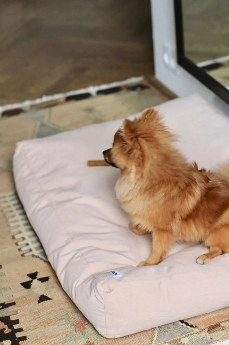 Tadazhi Tobine Dog Bed