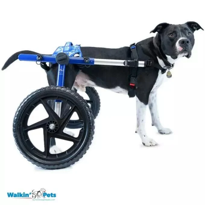 Walkin Wheels® - Buddy Up Rear Harness