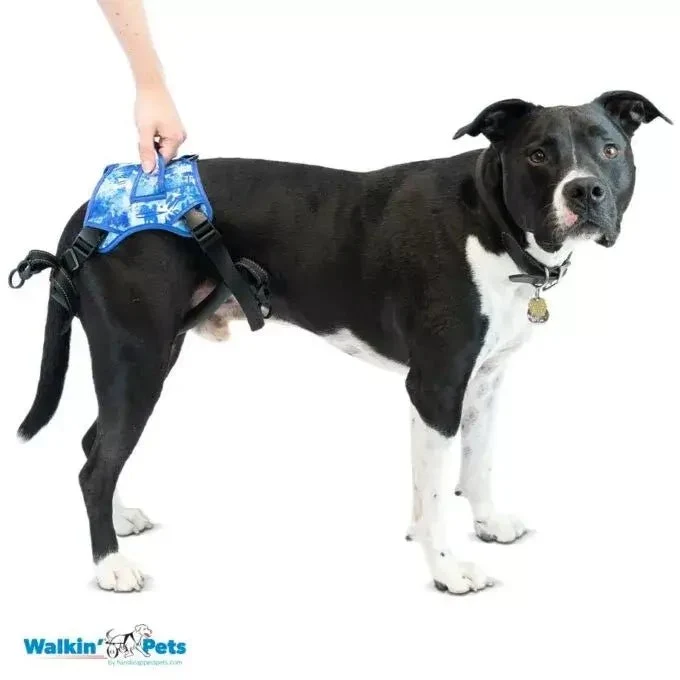 Walkin Wheels® - Buddy Up Rear Harness
