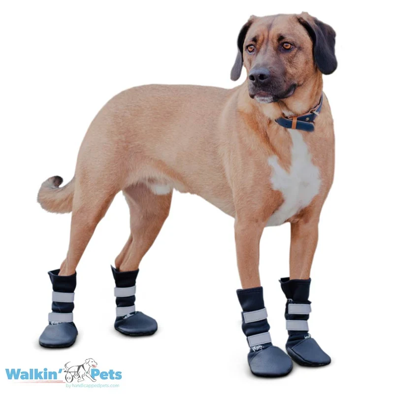 Walkin’ Wheels - Dog Boots