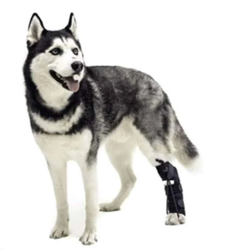 Walkin Wheels® - Rear No-Knuckling Training Sock