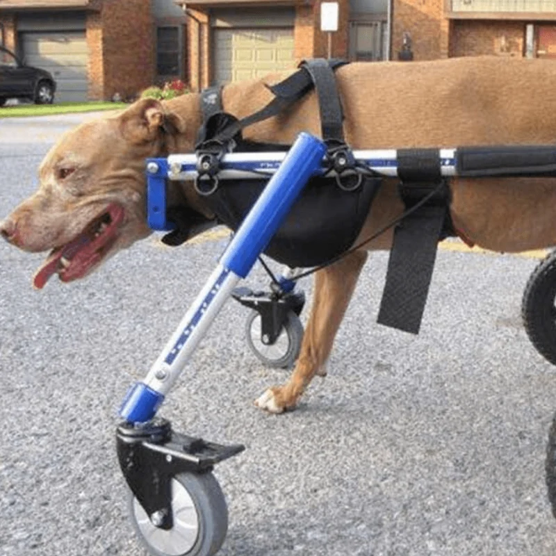 Walkin’ Wheels - Amputee Dog Leg Ring Cover