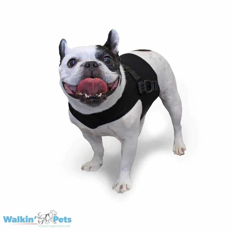 Walkin Wheels® Front Vest