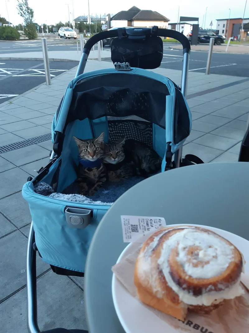 Ibiyaya The Beast Dog Jogging Stroller