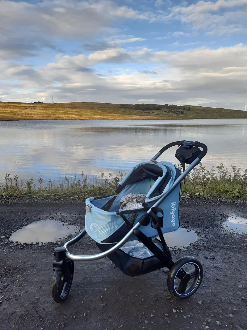 Ibiyaya The Beast Dog Jogging Stroller