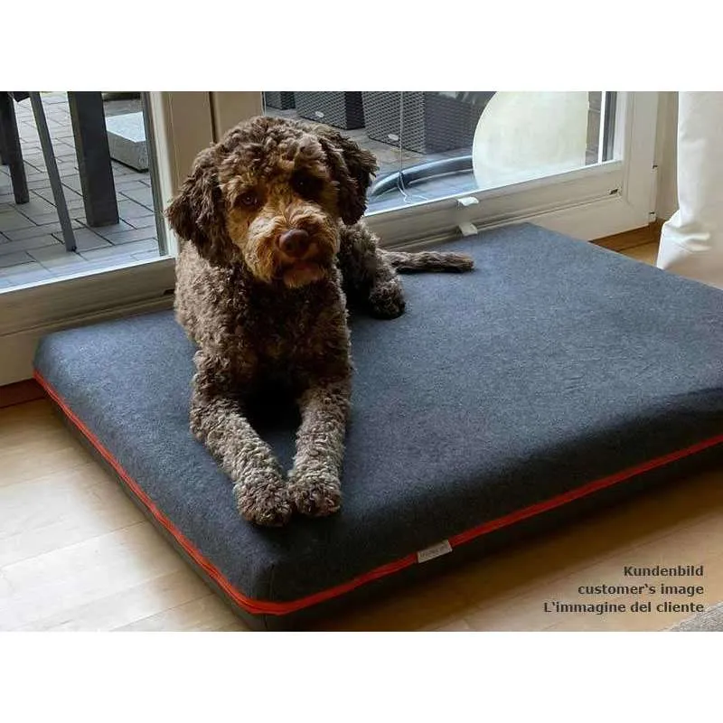Pet Interiors Orthopedic Dog Mattress & Blanket PAUL