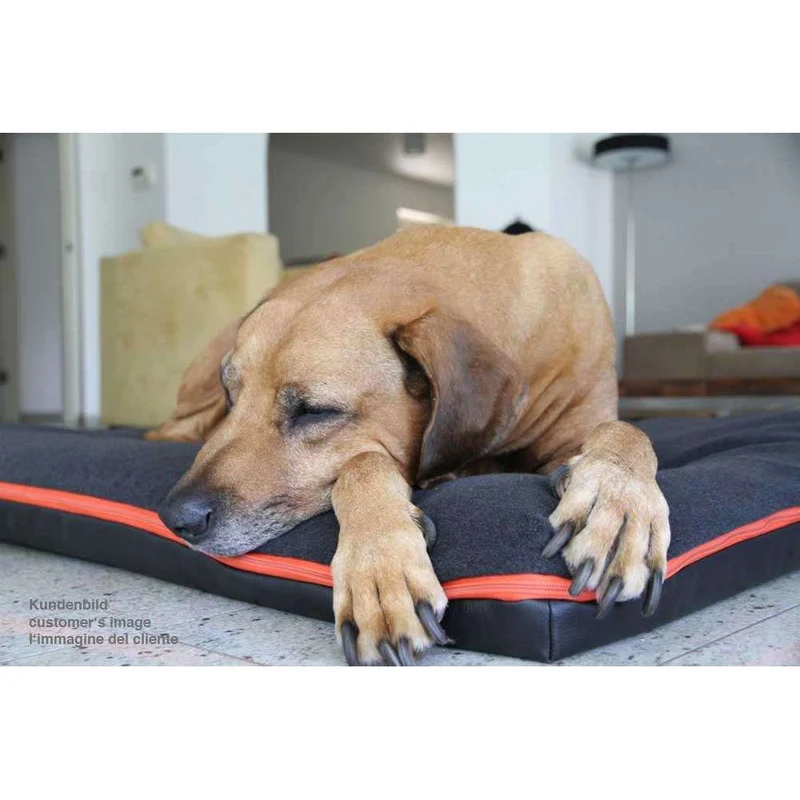 Pet Interiors Orthopedic Dog Mattress & Blanket PAUL