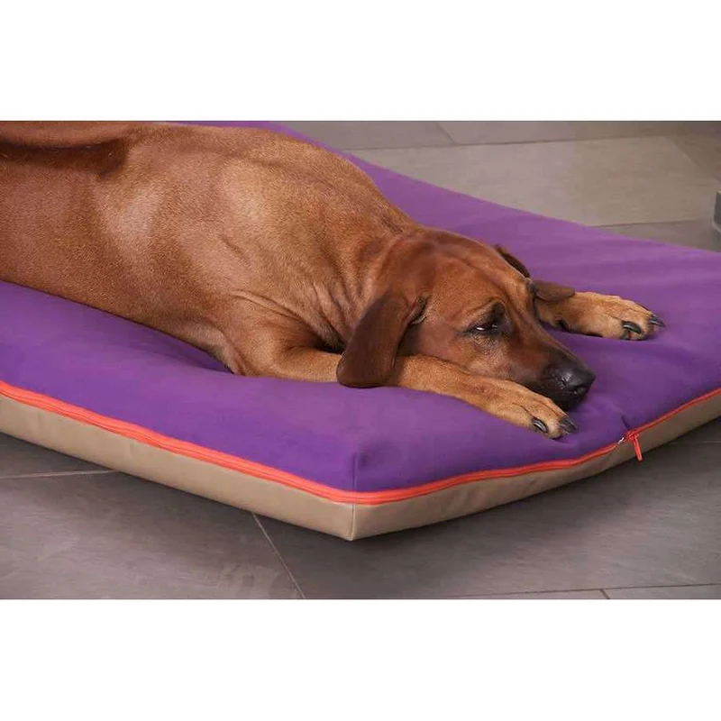 Pet Interiors Orthopedic Dog Mattress & Blanket PAUL