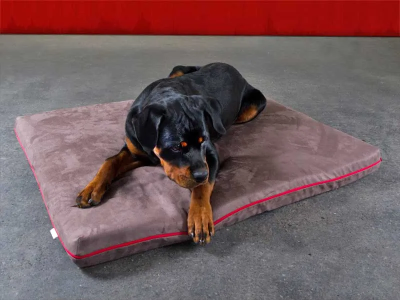 Pet Interiors Orthopedic Dog Mattress MARY