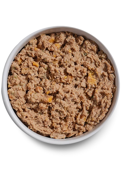 Open Farm Surf & Turf Pate Wet Dog Food 354G