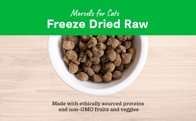 Open Farm Salmon & Cod Recipe Freeze Dried Raw Morsels for Cats 99G
