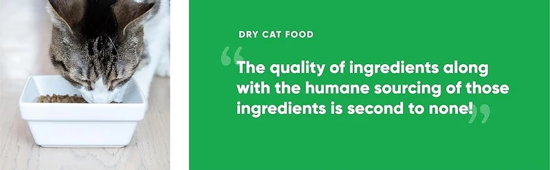 Open Farm Grain Free Kitten Recipe Dry Food 1.81KG