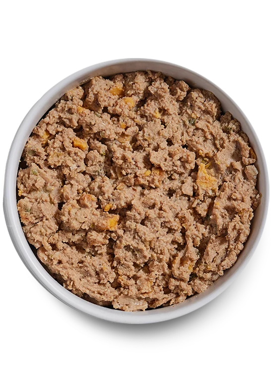 Open Farm Chicken & Salmon Pate Adult Wet Dog Food 354G