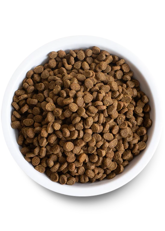 Open Farm Grain Free Catch of the Season Whitefish Dry Cat Food 1.81KG