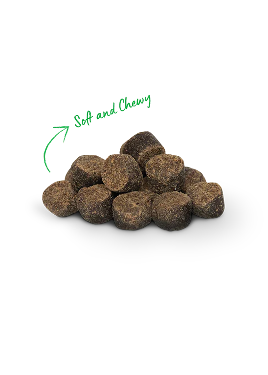 Open Farm Be Good Bites Turkey Dog Treat 170G