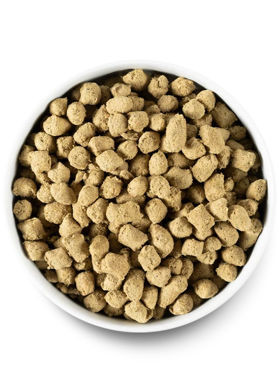 Open Farm Freeze Dried Harvest Chicken Recipe Dry Dog Food 99G