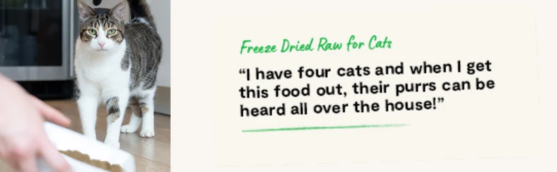 Open Farm Surf & Turf Freeze Dried Raw Cat Food 99G