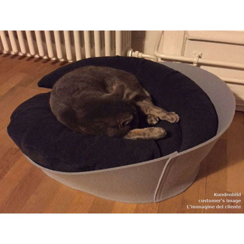 Pet Interiors ARENA Felt Designer Cat Bed